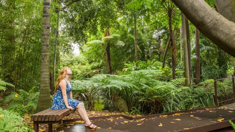 RBGV Forest Therapy Hero