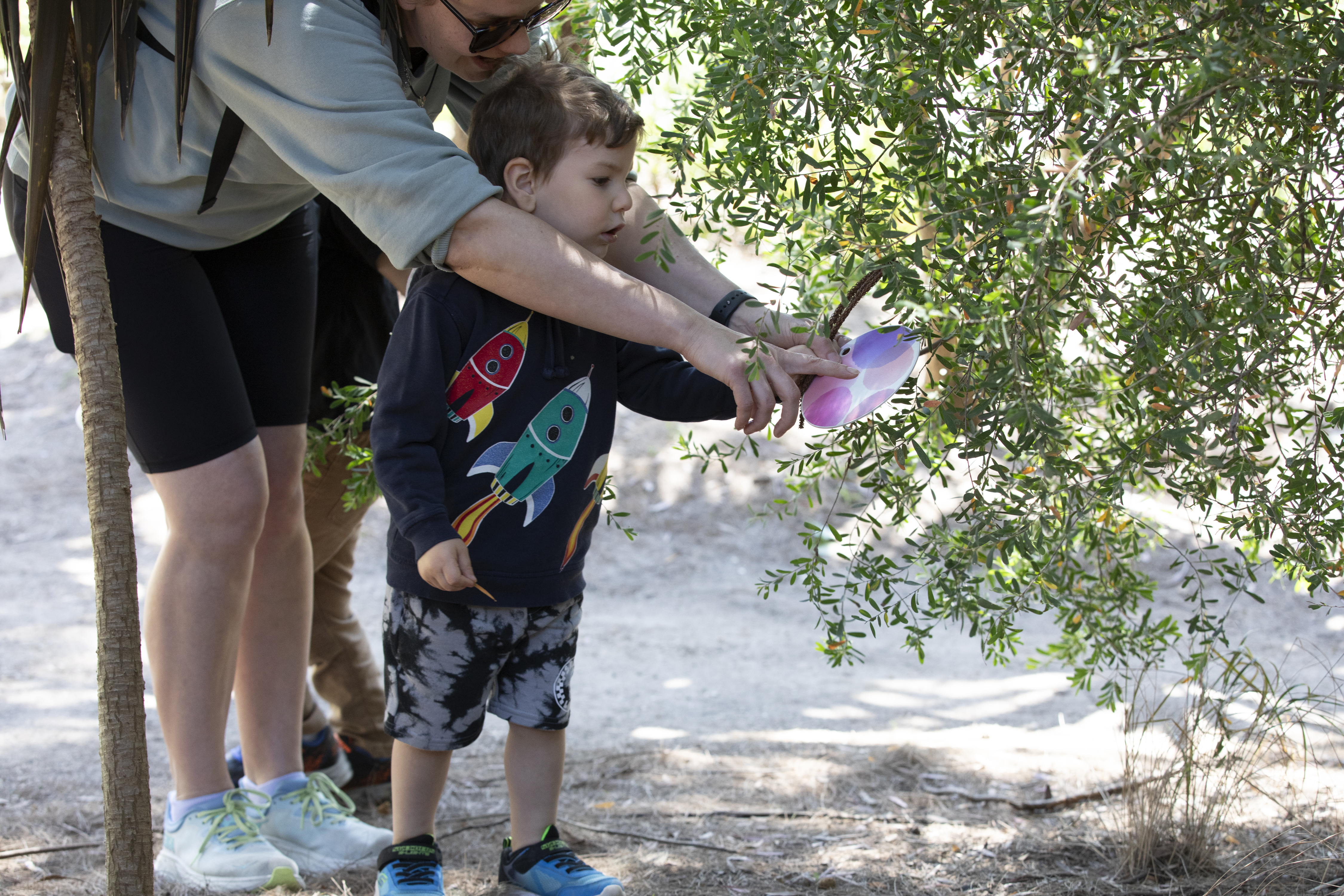 75 Royal Botanic Gardens Melbourne