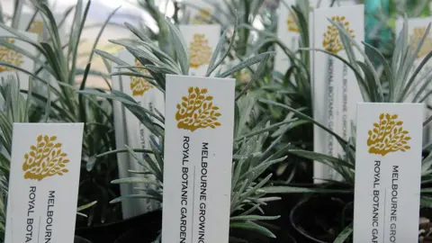 Growing Friends Plant Sale Ori
