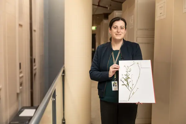 Rita Macheda displays a plant specimen for the camera. There are metal cabinets in the background.