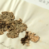 A foliose lichen affixed to pale green paper. It has been adhered such that the paper beneath has buckled, leaving creases radiating upwards from the specimen. The paper is annotated in cursive handwriting below the specimen.