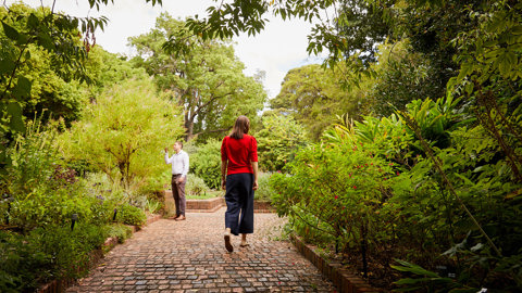 Forest Therapy Herb Garden 3