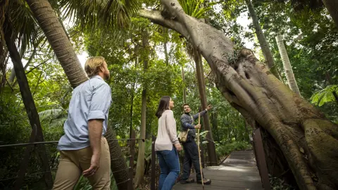Aboriginal Heritage Walk