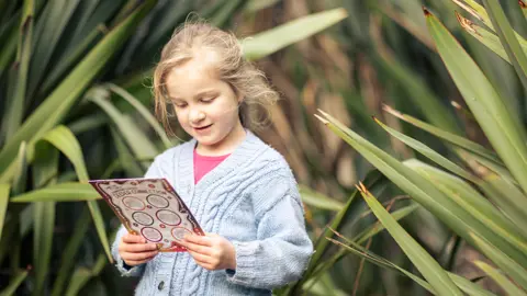 Seek And Find Nature Cards 1