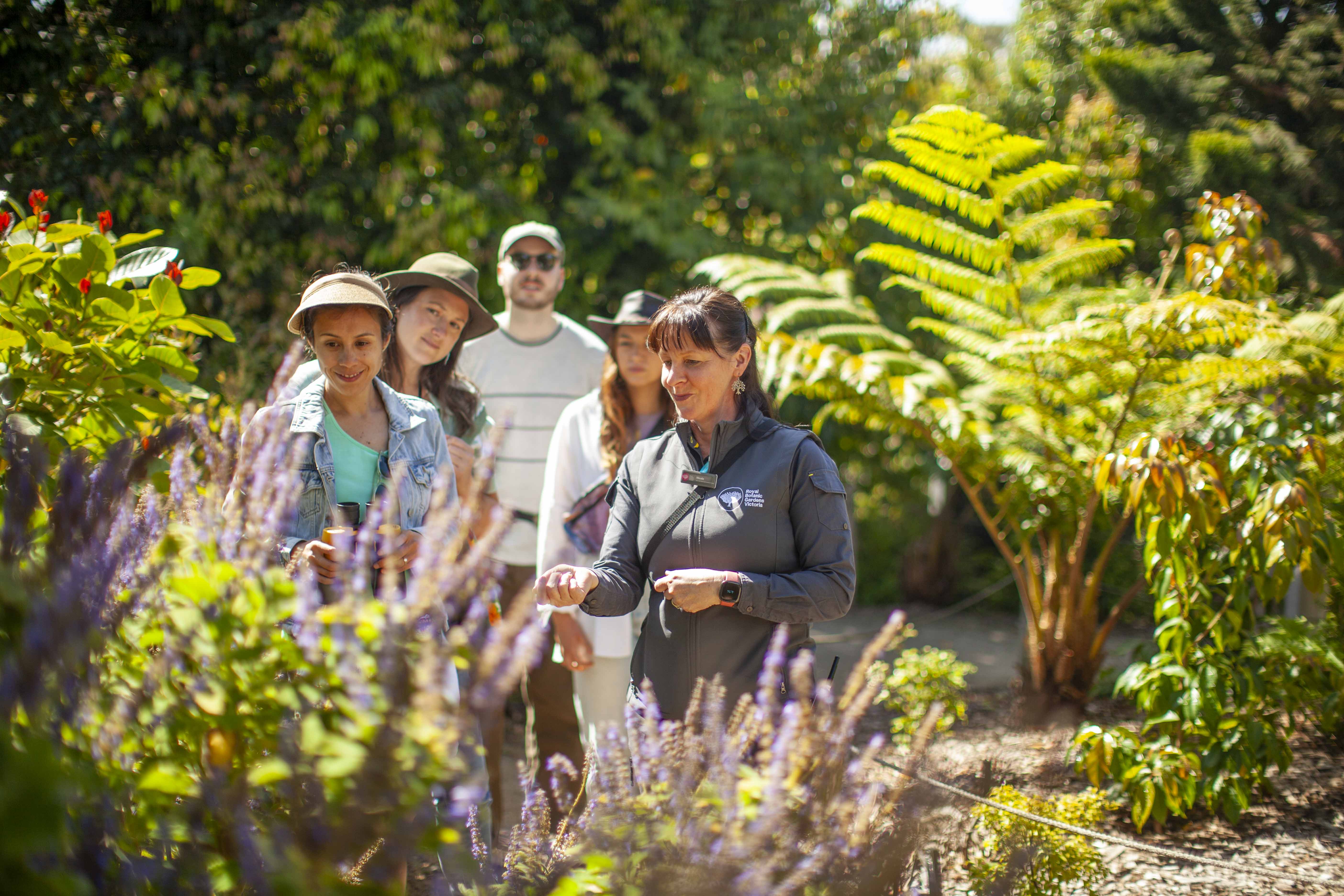 Cranbourne gardens free programs