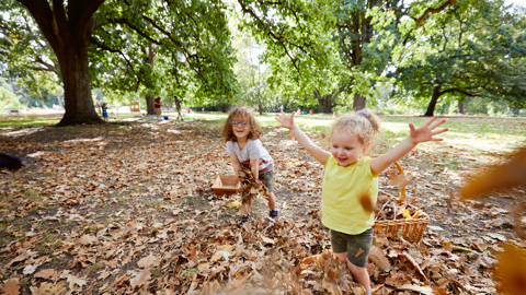 RBG Melbourne Kids Leaf Play 19