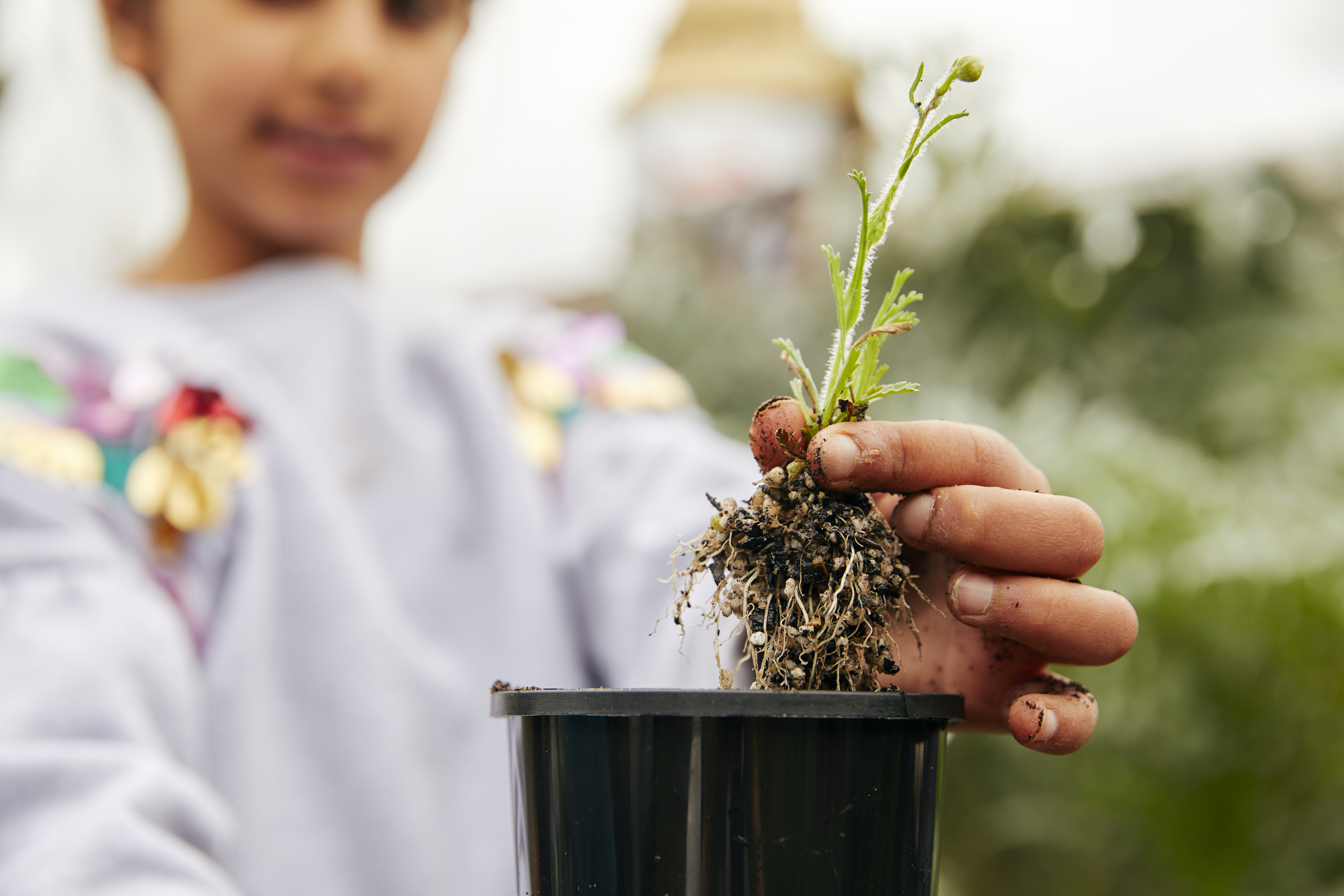 Springintonature Davidcook (119)