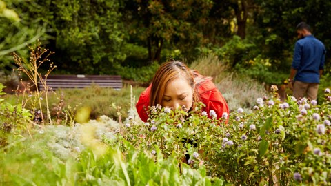 Forest Therapy 2019 Herb Garden (17)