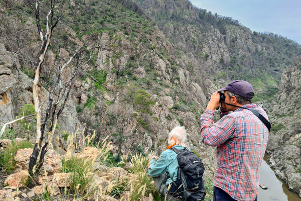 Searching for the Cliff Westringia (Westringia cremnophila), Snowy River George (In photo L to R: Neville Walsh, Andre Messina).